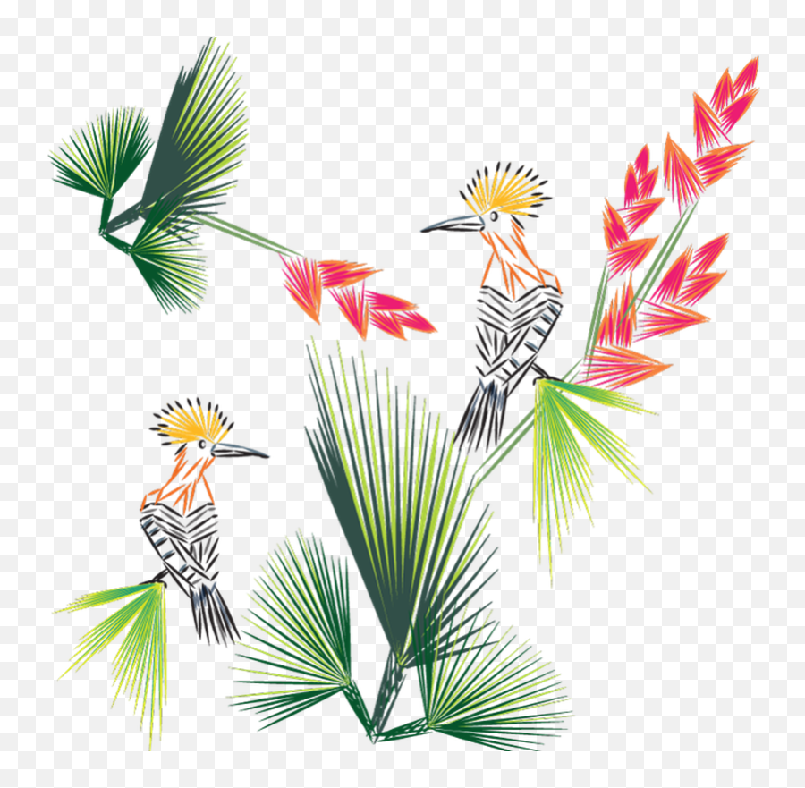 Birds Of Paradise Interiors - Design Transparent Png Free Emoji,Bird Of Paradise Png