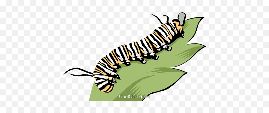 Caterpillar Royalty Free Vector Clip Art Illustration Emoji,Caterpillar Clipart