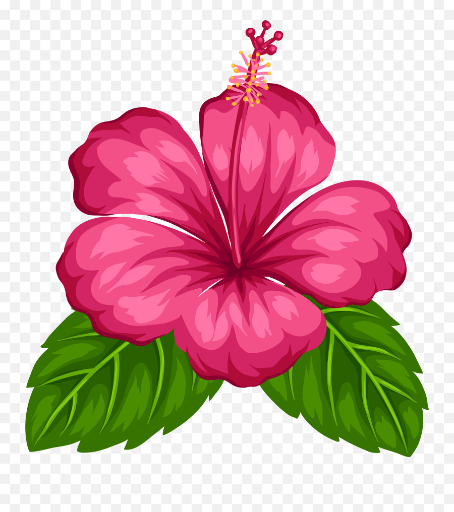 Flor Da Moana Png U2013 Free Png Images Vector Psd Clipart - Flower Tropical Clipart Emoji,Moana Png