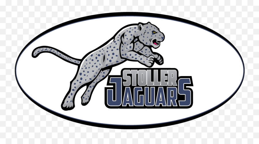 Stoller Jaguars Oval Car Decal Teamunis Emoji,Jaguars Logo Png