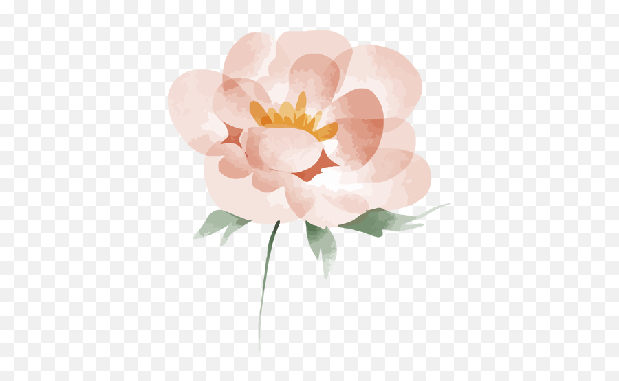 Watercolor Flower Png U0026 Svg Transparent Background To Download Emoji,Watercolor Roses Png