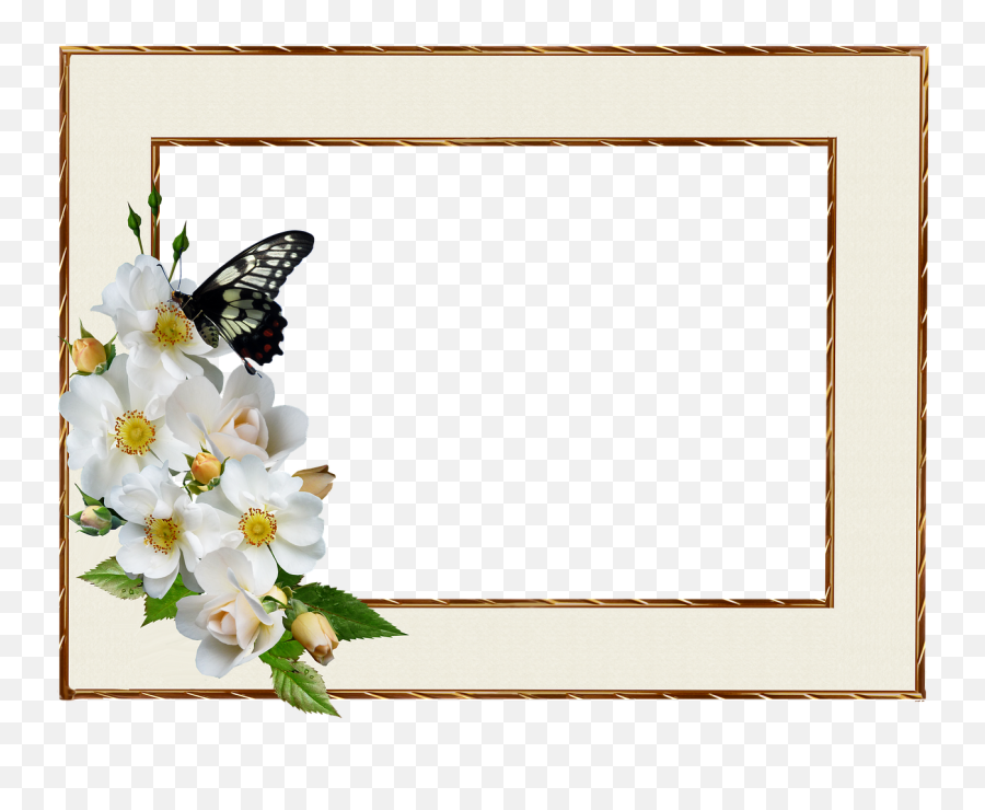 Download Free Photo Of Frame Border White Rose Butterfly Emoji,White Rose Transparent
