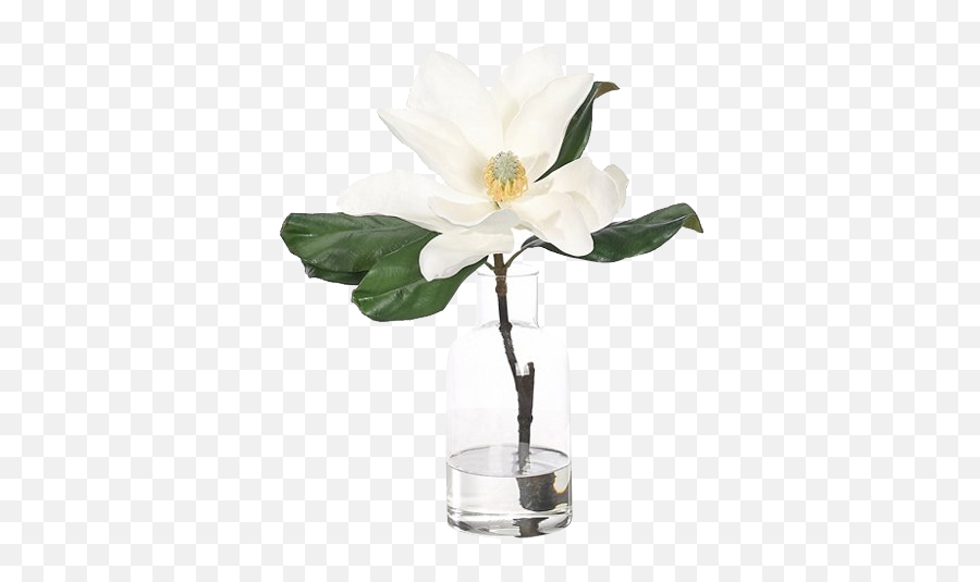 12 Magnolia In Bottle Faux Emoji,Magnolia Clipart Black And White