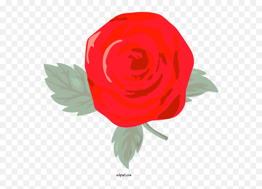 Flowers Red Rose Flower For Rose - Rose Clipart Flowers Clip Art Emoji,Red Rose Transparent Background