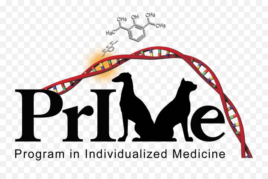 Veterinary Program In Individualized Medicine Prime - Language Emoji,Prime Logo