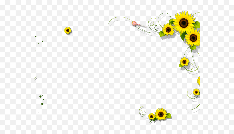 Sunflower Border Png - Clear Background Sunflower Border Png Emoji,Sunflowers Clipart