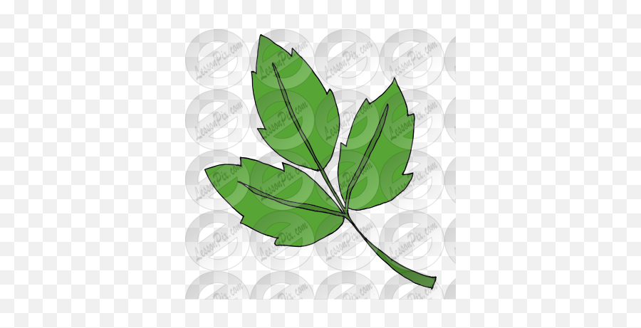 Poison Ivy Picture For Classroom Therapy Use - Great Poison Ivy Emoji,Poison Clipart