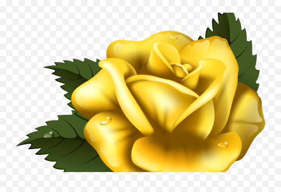 Gold Rose Clipart Free Download Best Gold Rose Clipart - Yellow Rose Png Clipart Emoji,Free Rose Clipart