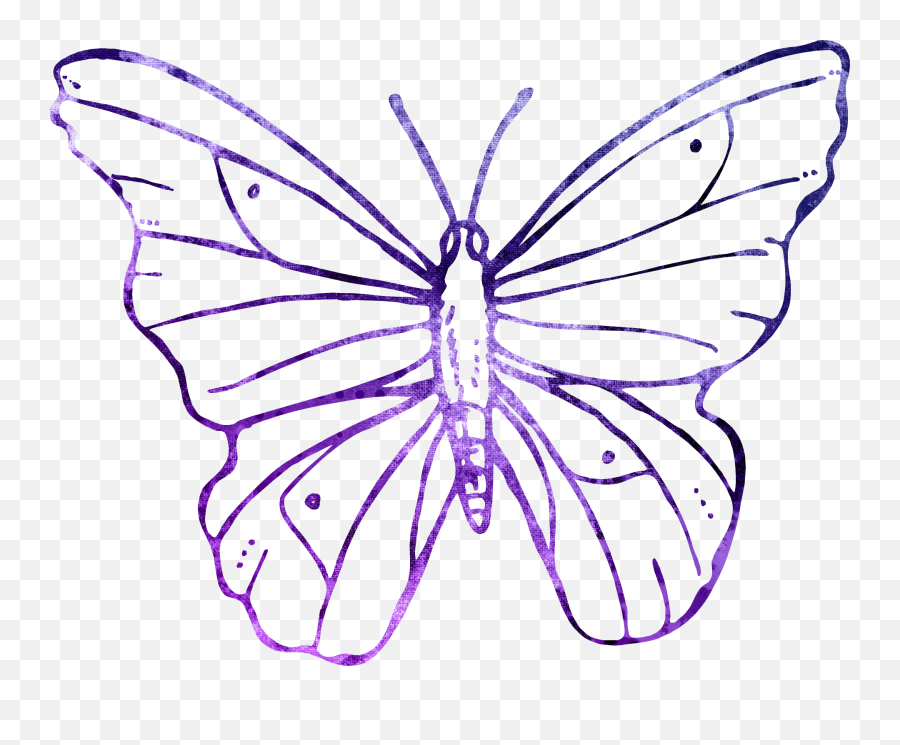 Butterfly - Transparent Background Butterfly Flower Line Art Transparent Background Butterfly Clipart Outline Emoji,Butterfly Transparent