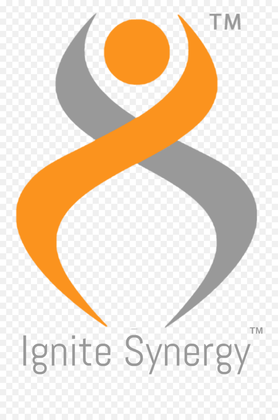 Ignite Synergy Application Development Based In Austin Tx Emoji,Ignited Logo