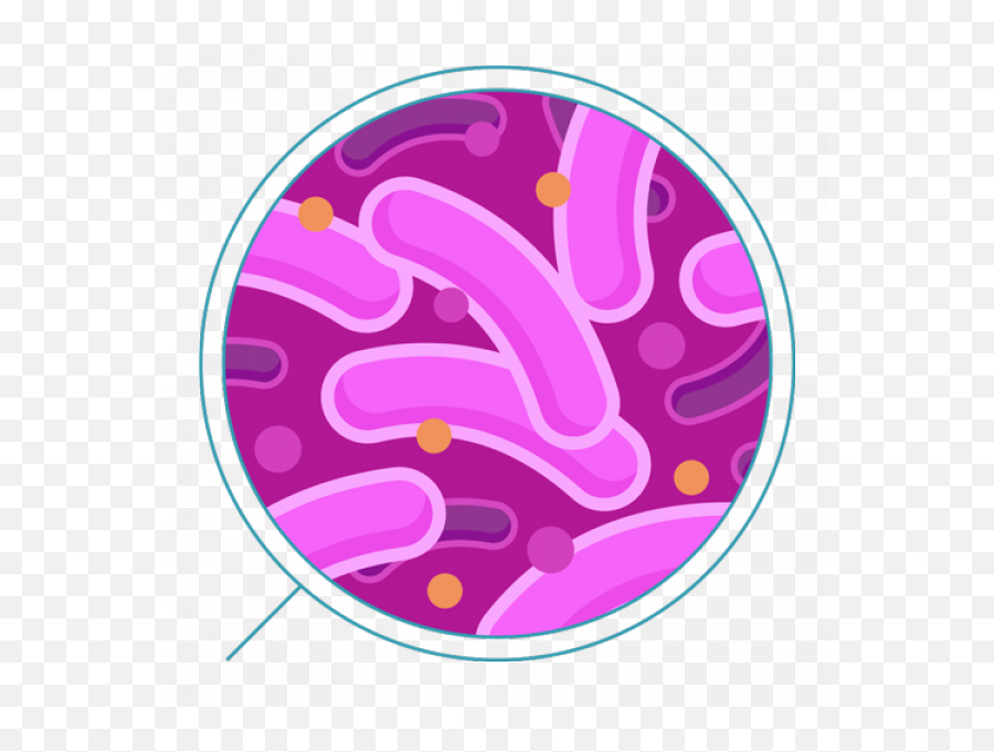 Bacteria Transparent Transparent Images U2013 Free Png Images - Transparent Background Bacteria Png Emoji,Bacteria Clipart