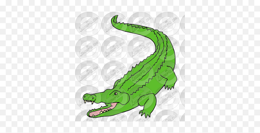 Alligator Picture For Classroom - Big Emoji,Alligator Clipart