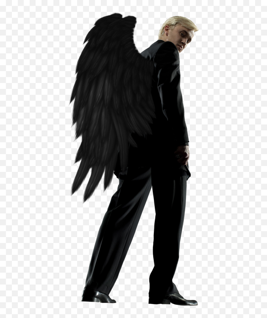 Demon Wings - Harry Potter And The Philosopheru0027s Stone Hd Portable Network Graphics Emoji,Demon Wings Png