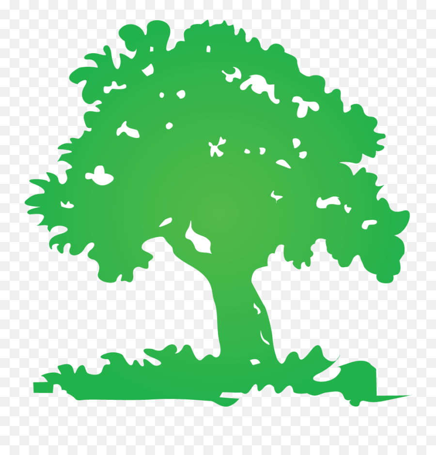 Tree Logo Google Search Tree Logo Pinterest Tree Tree Logo - Transparent Logo Of Tree Emoji,Pinterest Logo