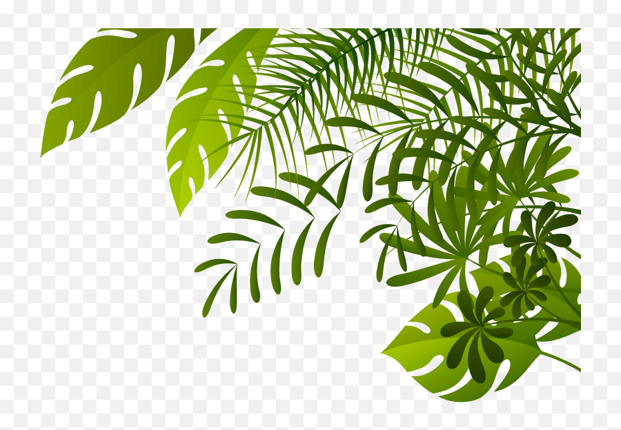 Jungle Png Image - Jungle Png Emoji,Jungle Leaves Png