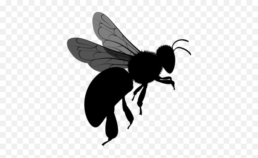 Transparent Bee Sting Png Image - Parasitism Emoji,Sting Png