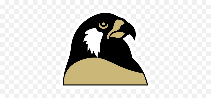 Foster - Team Home Foster Falcons Sports Foster Falcons Emoji,Falcon Logo