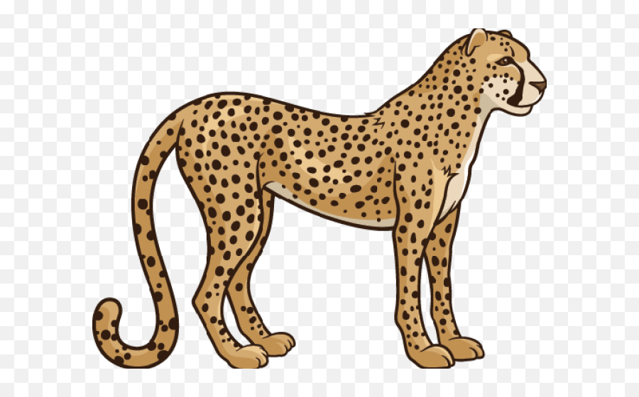 Download Cheetah Clipart Transparent - Transparent Background Cheetah Clipart Emoji,Cheetah Clipart