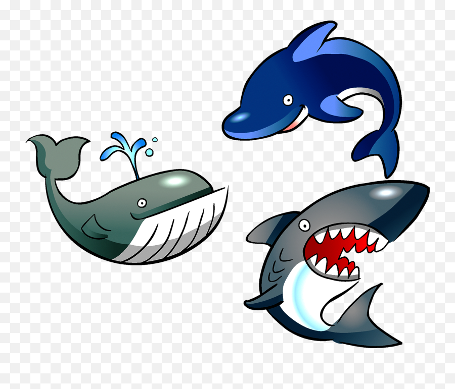 Clipart Shark Organism Clipart Shark Organism Transparent - Whale Dolphin Shark Clipart Emoji,Shark Clipart