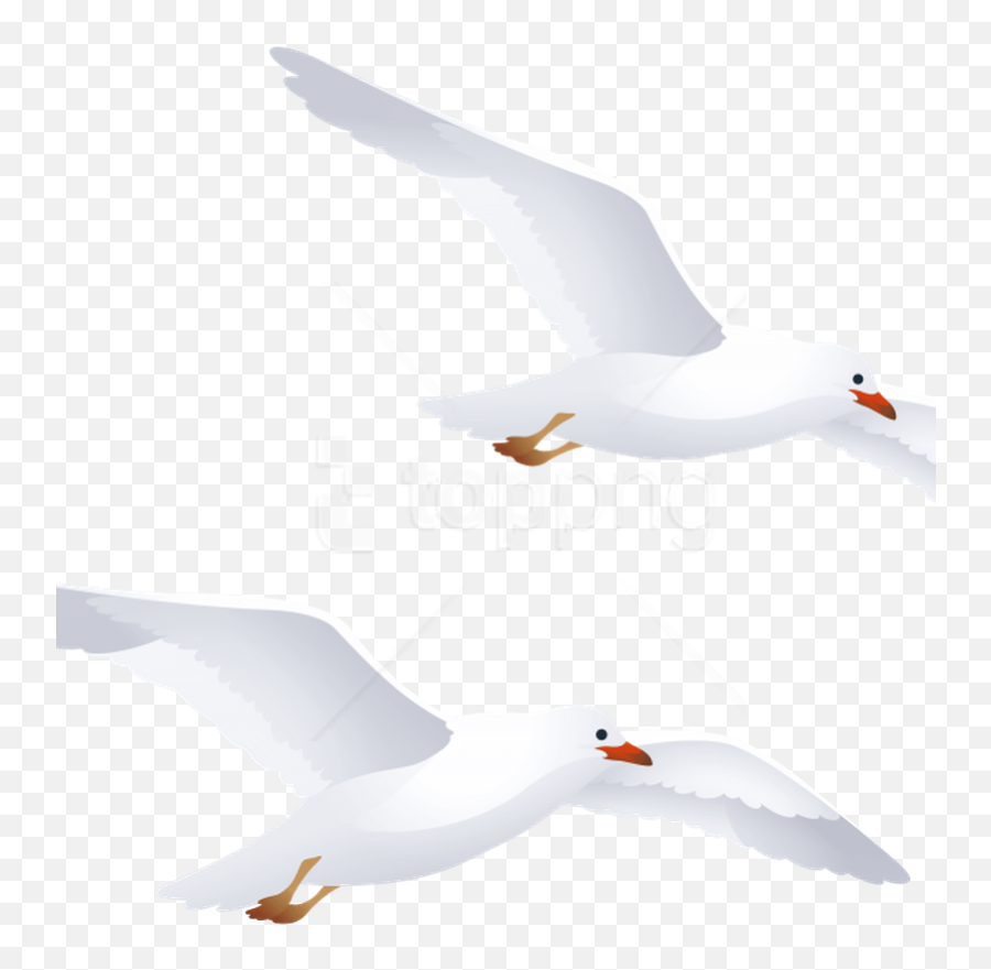 Best Seagulls Png - White Seagull Silhouette Png Transparent Emoji,Seagull Logo