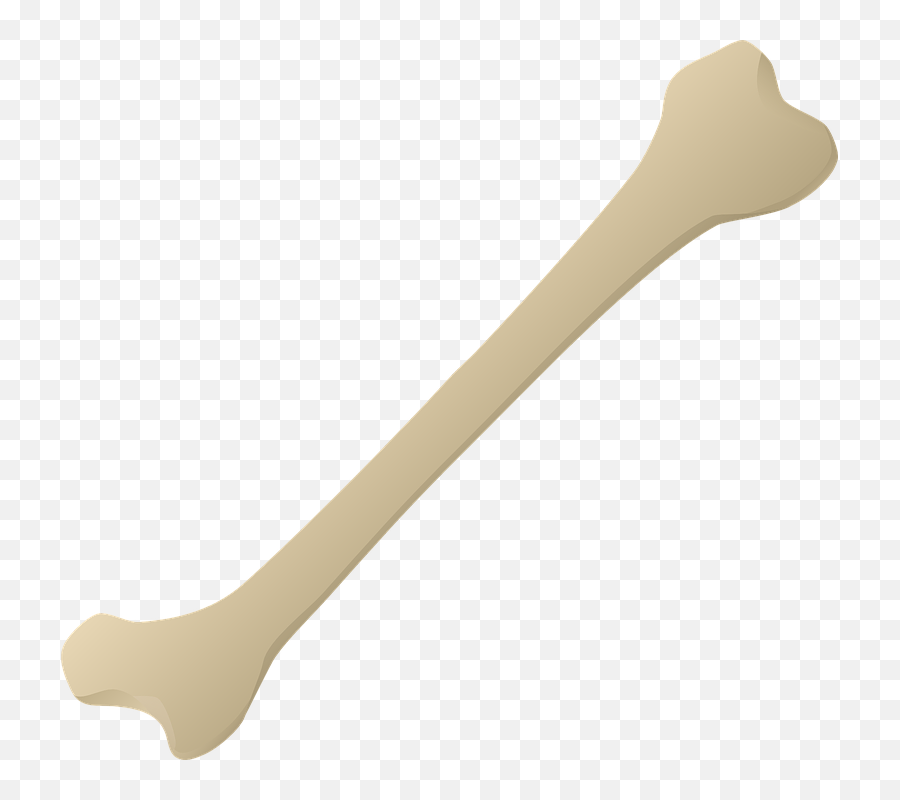 Spoon Png - Leg Bone Vector Png Emoji,Bone Png