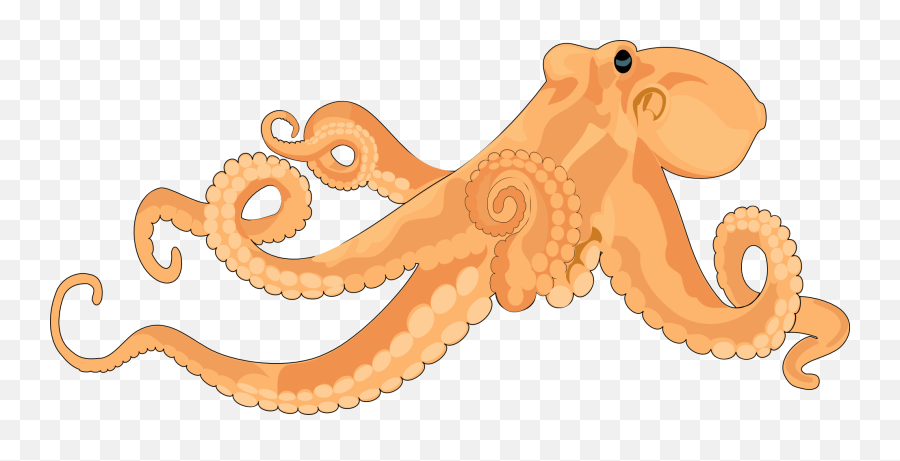 Octopus Clip Art Free Clipart Images 3 - Sentido Del Gusto Del Pulpo Emoji,Octopus Clipart