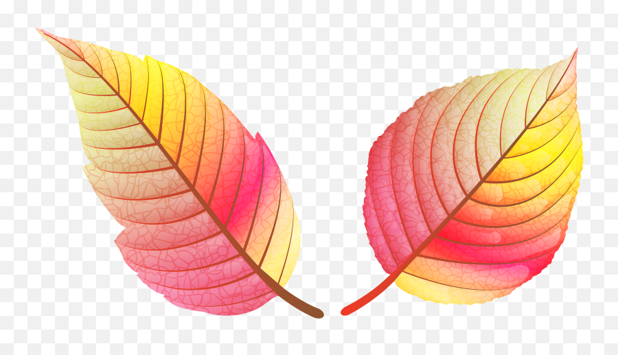 Library Of Colorful Fall Leaves Clip Black And White Library - Colourful Trees Without Leaves Clipart Emoji,Leaves Clipart
