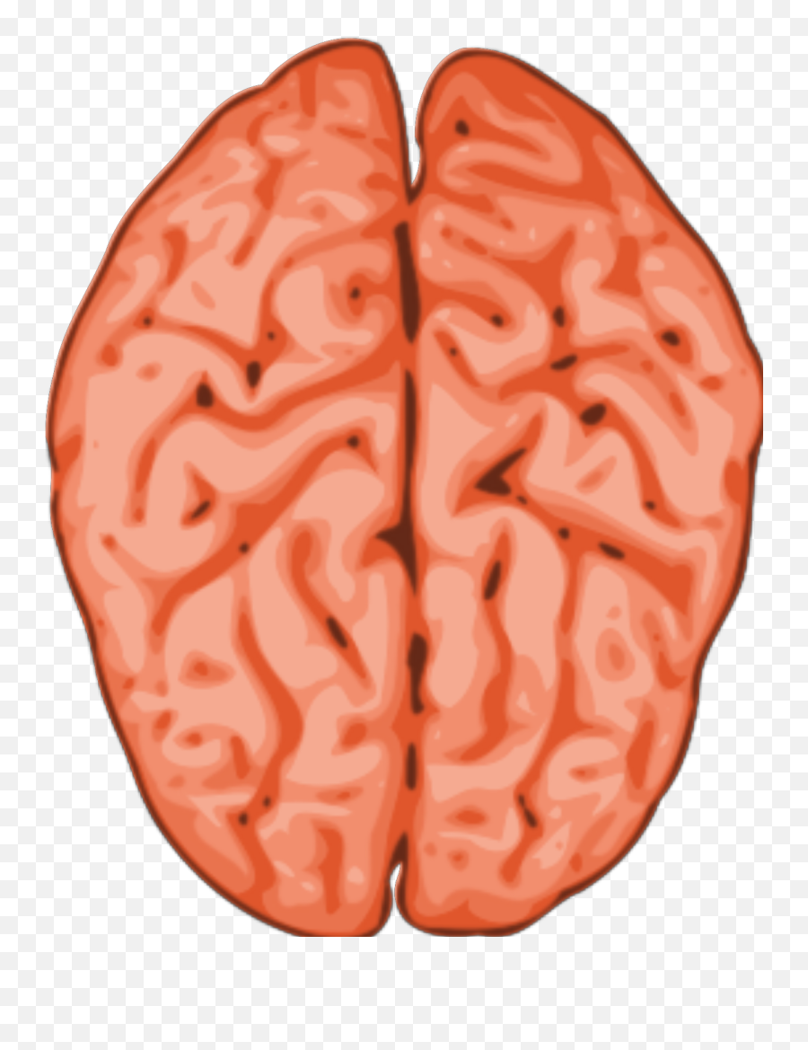 Brain Svg Vector Brain Clip Art - Svg Clipart Emoji,Brain Outline Clipart