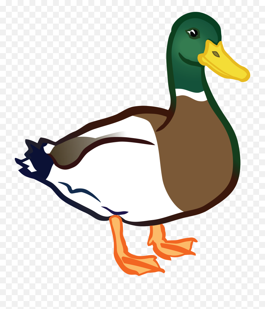 Ducks Images On Page - Duck Png Clipart Emoji,Duck Clipart