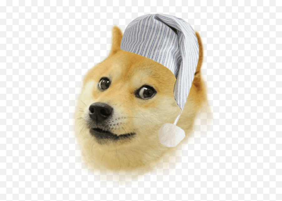 Sleepy Doge Transparent Png - Meme Doge Emoji,Doge Transparent Background