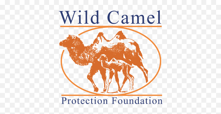 2019 - Wild Camel Protection Foundation Emoji,Camel Logo