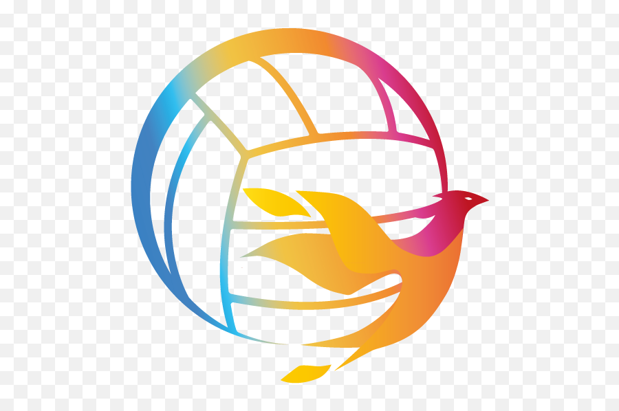 Fireball Beach Volleyball - Fireball Beach Volleyball Emoji,Fireball Logo