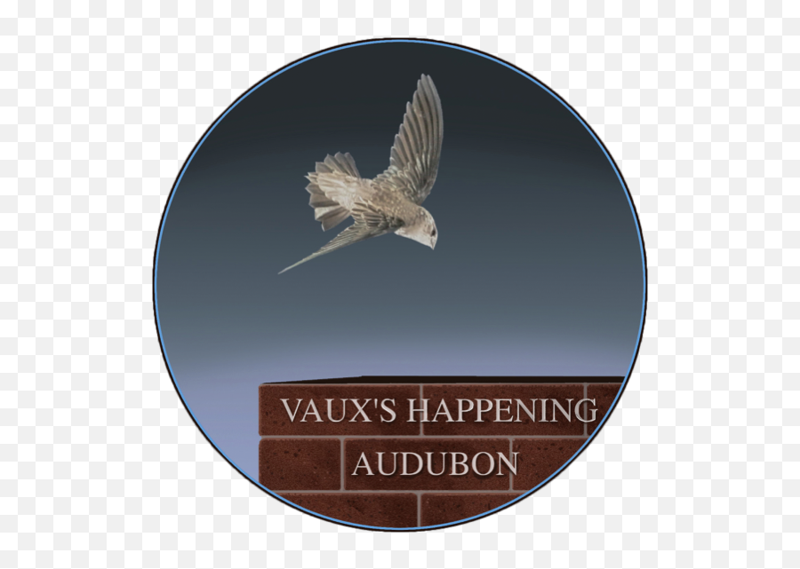 Vaux Swift Research - Sparrow Emoji,Swifts Logo