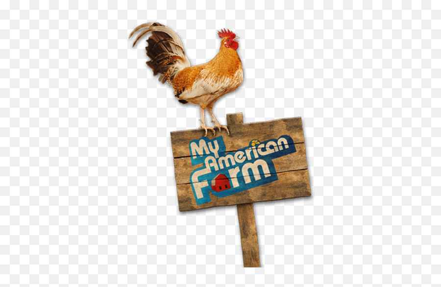 My American Farm Logo U2013 Rhode Island Farm Bureau - My American Farm Emoji,Farm Logo