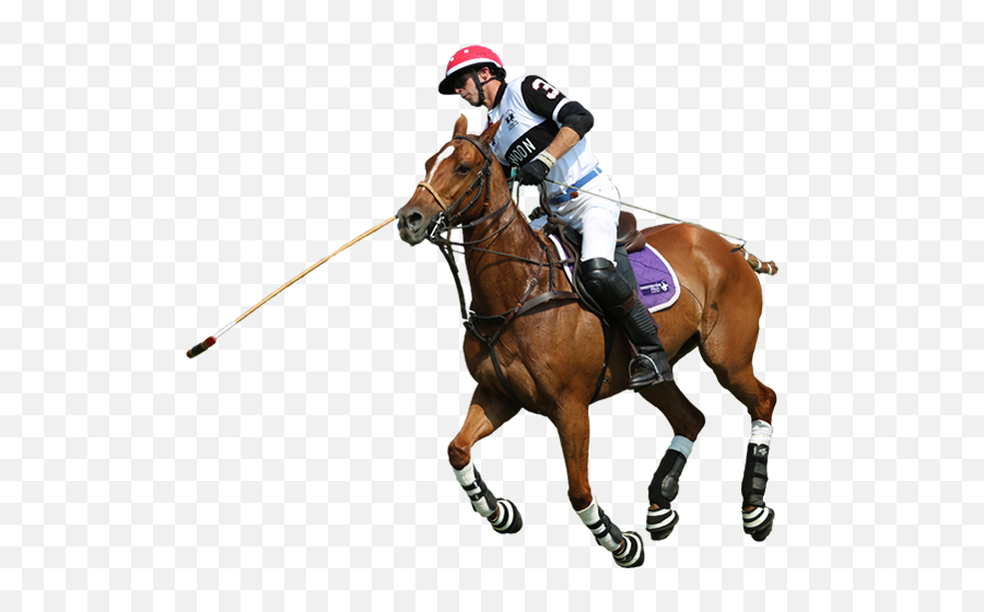 Download 1 - Polo Sport Png Full Size Png Image Pngkit Emoji,Sports Transparent Background