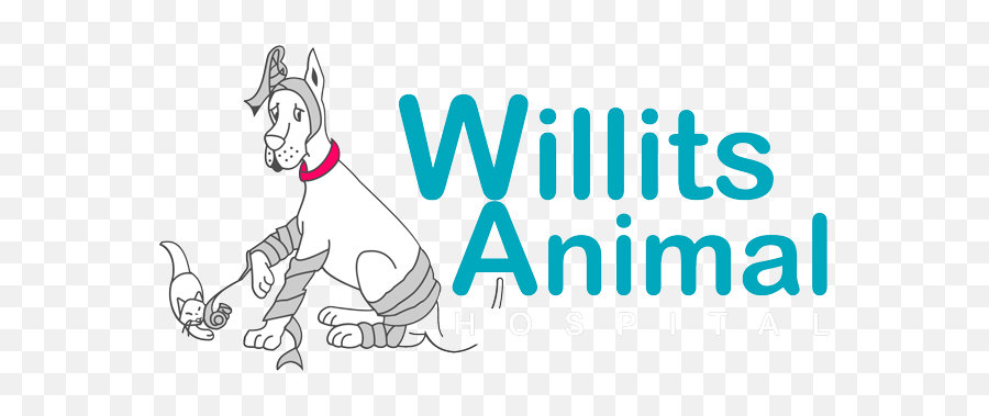 Willits Veterinary Willits Animal Hosptial Veterinarians - Language Emoji,Animal Logo