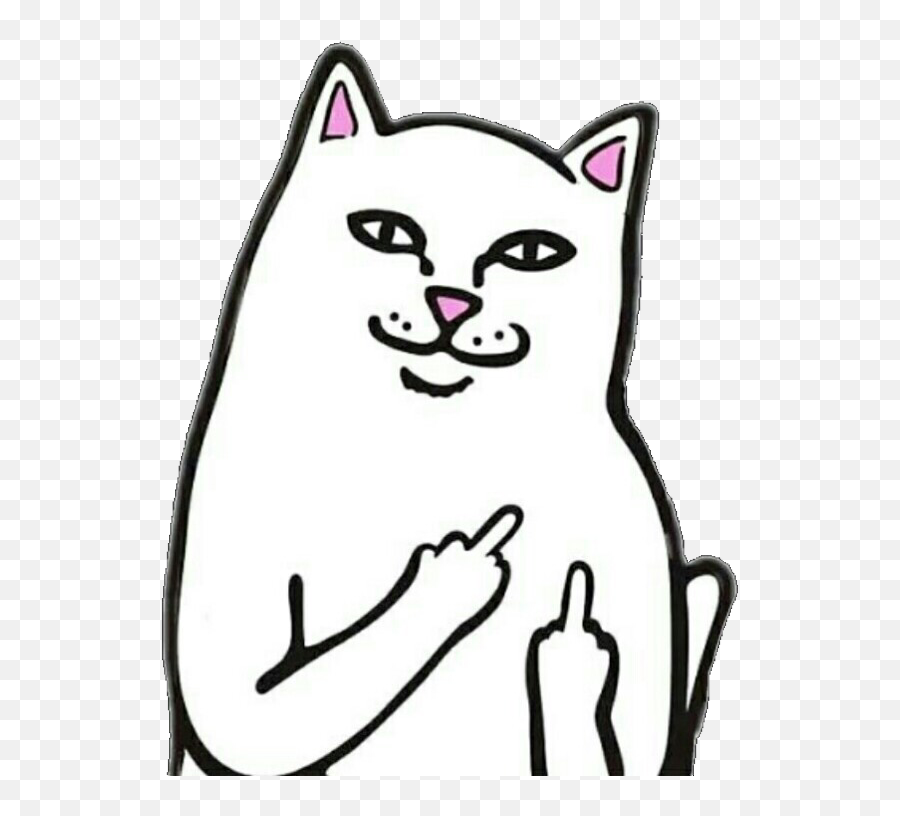 Black And White Cat Png - Cat Png Fu Freetoedit Cat Cat Middle Finger Emoji,Bongo Cat Png