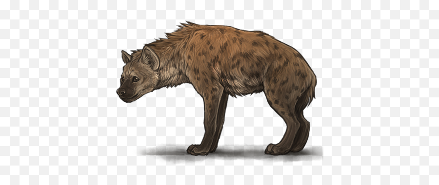 Download Hyena Png Transparent Images - Transparent Hyena Clipart Emoji,Transparent Backgrounds