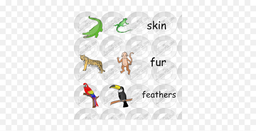 Jungle Animals Picture For Classroom - Hornbill Emoji,Jungle Animals Clipart