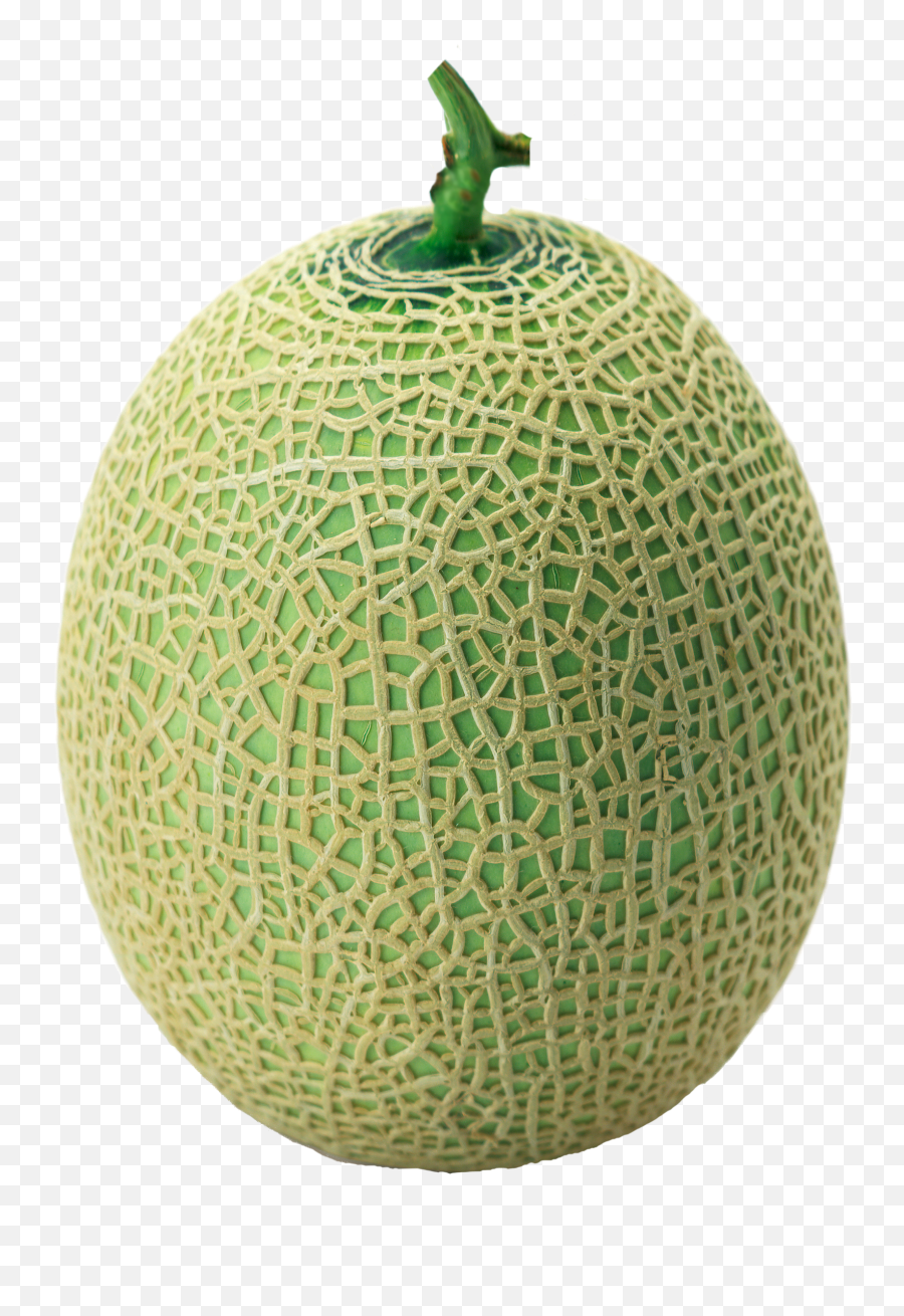 Melon Green - Melon Png Emoji,Melon Png