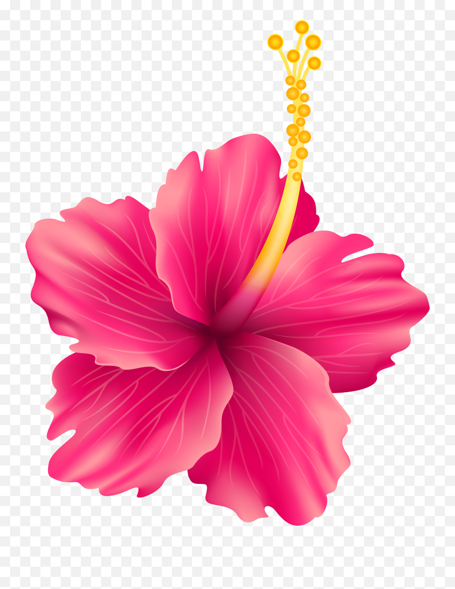 Hibiscus - Transparent Background Hibiscus Clipart Emoji,Hibiscus Transparent