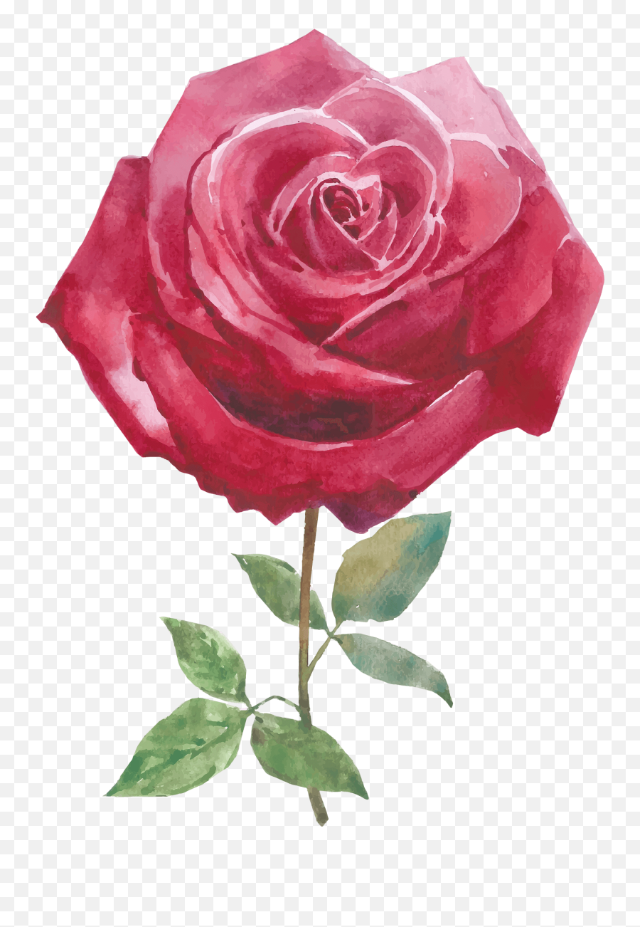 White Pink Roses Rose Day Png - Rose Image Download Free Emoji,Watercolor Roses Png