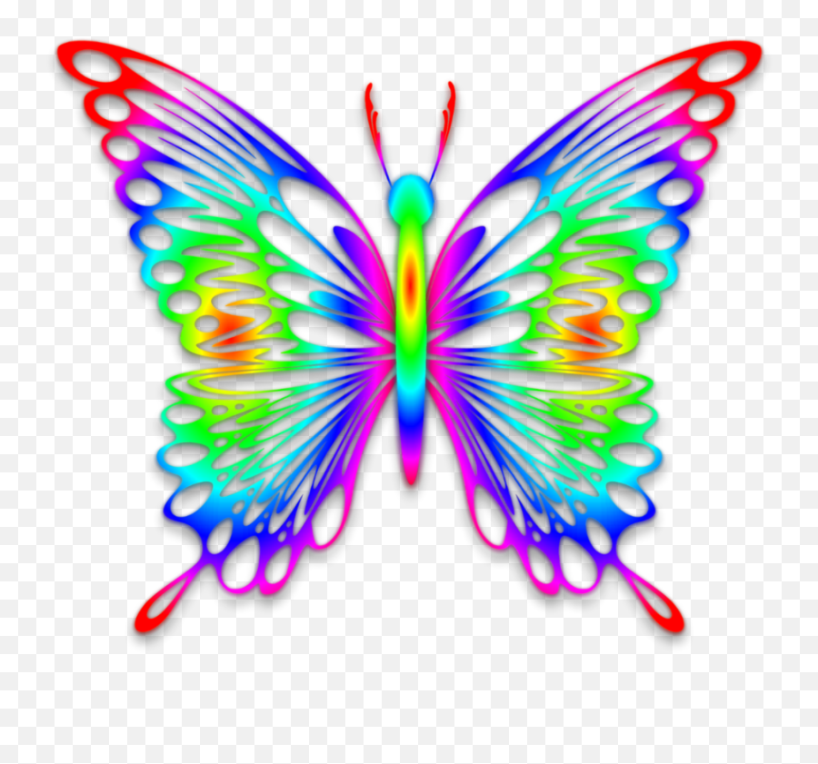 Download Transparent Rainbow Butterfly - Rainbow Image Of Transparent Background Rainbow Butterfly Png Emoji,Butterfly Transparent Background