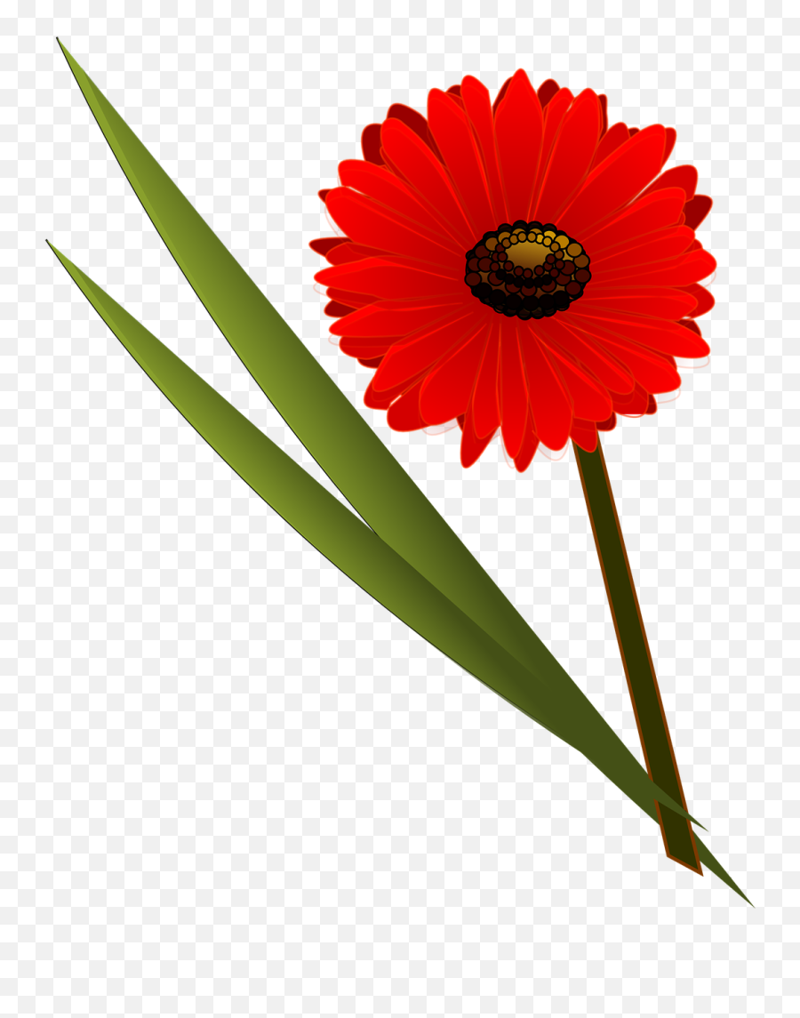 Flower Blossom Red Bloom Color Png Picpng Emoji,Colorful Flowers Png