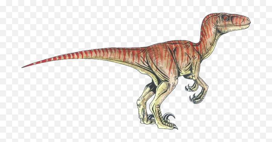Download Velociraptor Tyrannosaurus Deinonychus Dinosaur Png - Velociraptor Raptor Dinosaur Emoji,Dinosaur Transparent Background