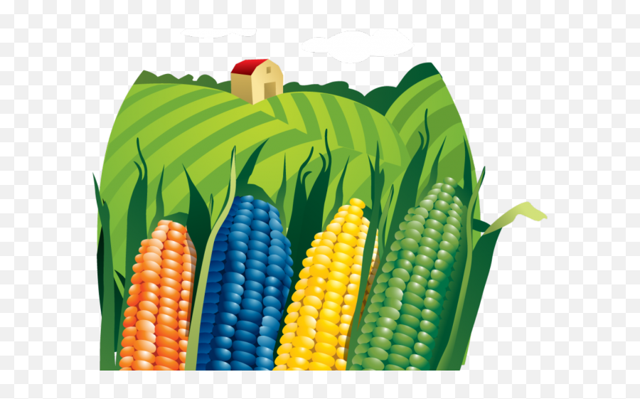 Corn Clipart Png - Maiz Png Emoji,Corn Clipart