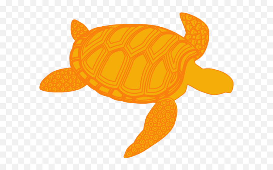 Download Sea Turtle Clipart Olive Ridley - Turtle Vector Png Yellow Turtle Clipart Transparent Background Emoji,Turtle Clipart