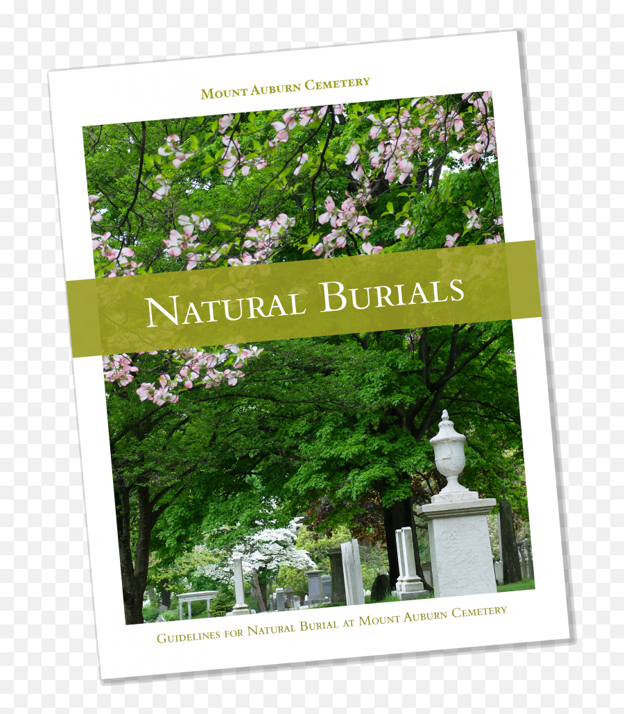 Natural Burials Mount Auburn Cemetery Emoji,After The Burial Logo