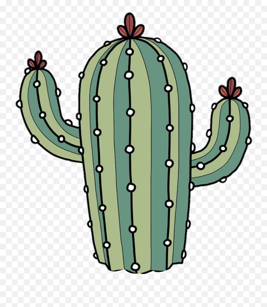 Cactus Tumblr Beautiful Plant Green Flower - Cactus Png Cactus Tumblr Png Emoji,Cactus Png