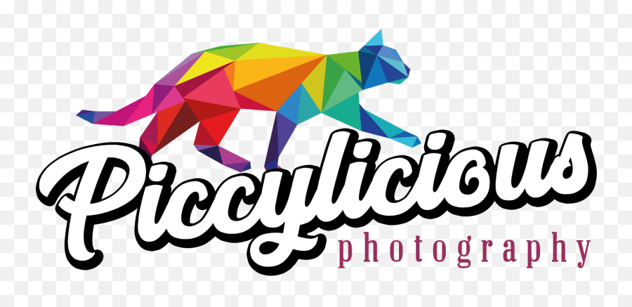 Piccylicious Photography Fun - Filled Creative Wedding Emoji,Logo Licious